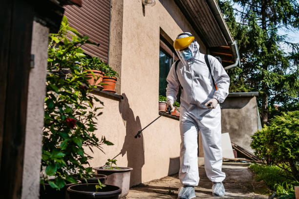 Best Rat Extermination Near Me  in Clearwater, SC