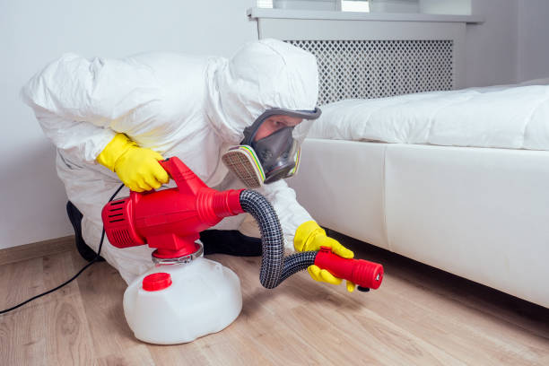 Best Emergency Pest Control  in Clearwater, SC