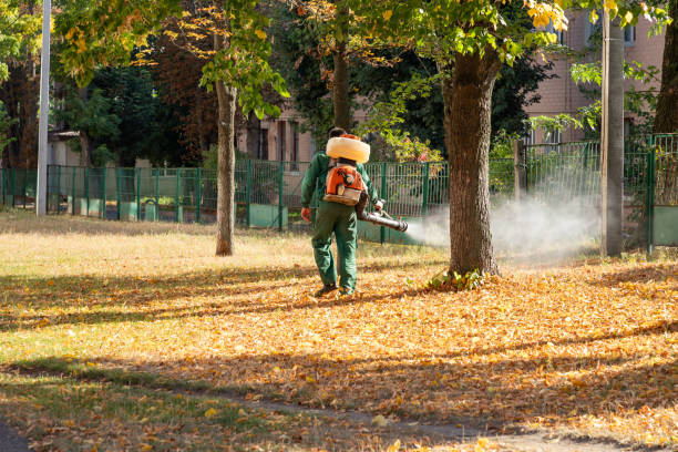 Best Termite Control Services  in Clearwater, SC