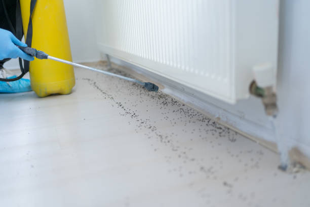 Best Pest Removal Services  in Clearwater, SC