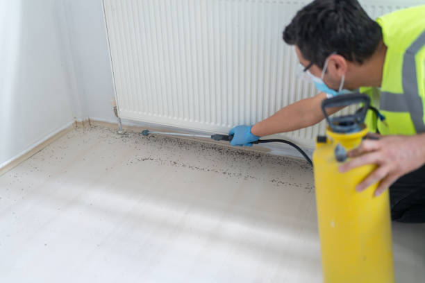 Best Commercial Pest Control Services  in Clearwater, SC